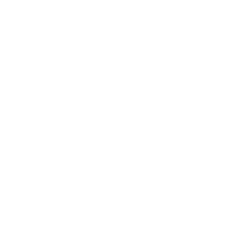 Security Icon